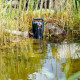 Погружной насос для грязной воды Metabo SP 180-35 SI